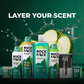 72hr Antiperspirant Refillable Deodorant - Original Scent
